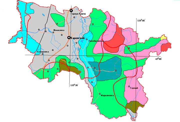 Растительный мир Кировского муниципального округа