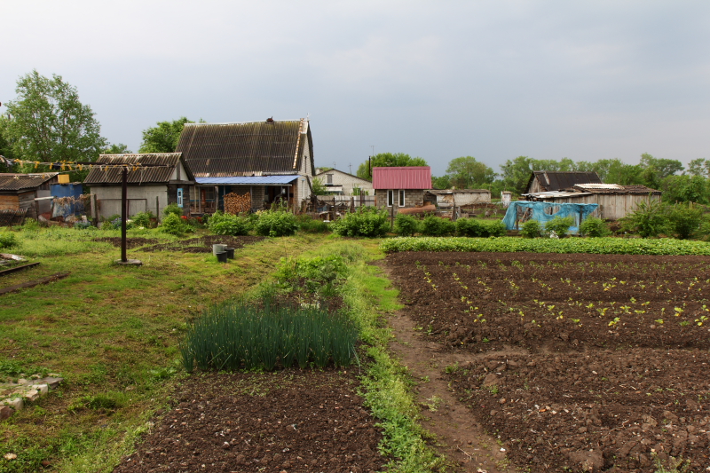 Огородная пора, с.Шмаковка
