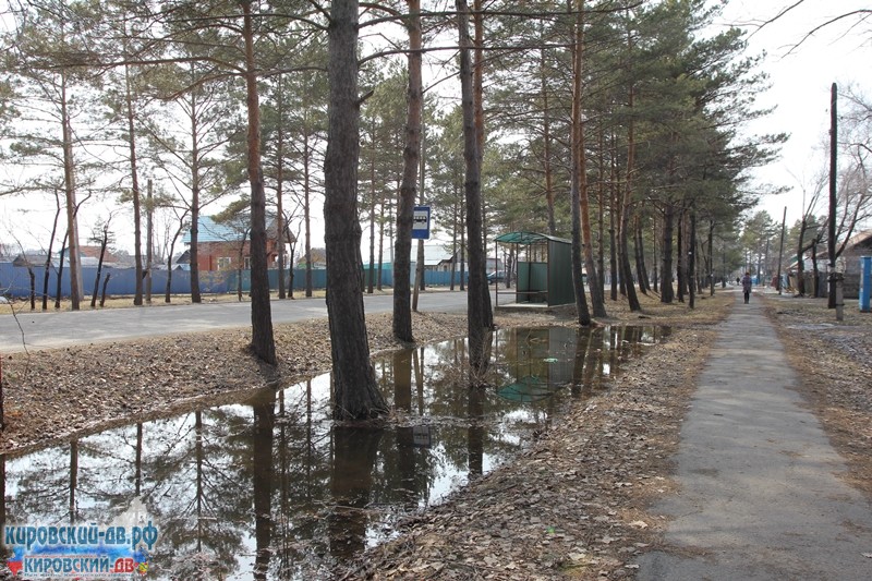 Кювет по Ленинской, пгт.Кировский