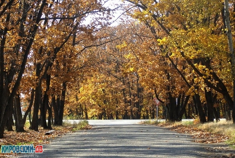 дубки, пгт.Кировский