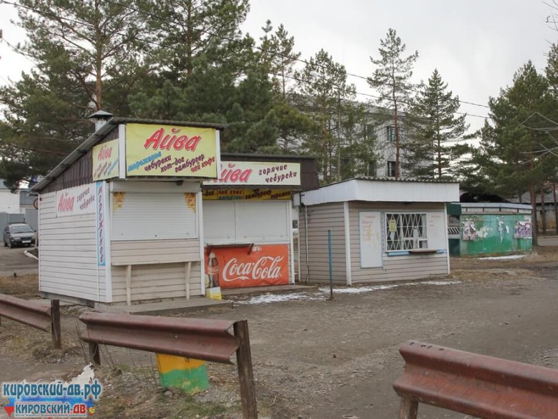 Айва в пгт. Кировский