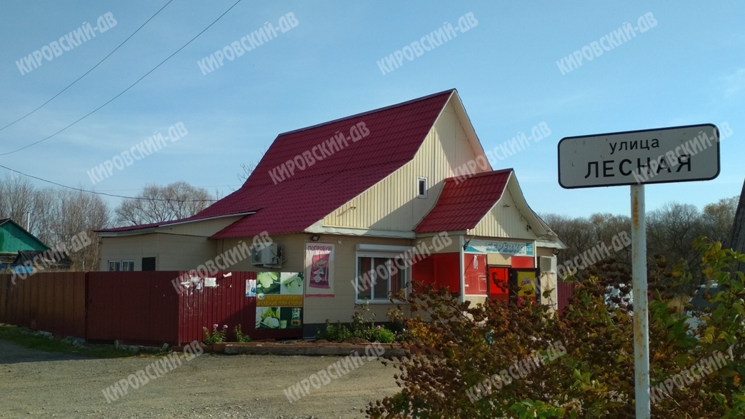 Берёзка в с. Руновка